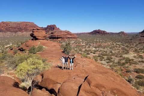 Palm Valley And Hermannsburg 1 Day 4WD Tour - Accommodation in Surfers Paradise 4