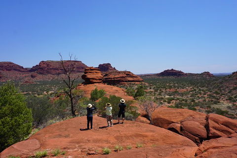 Palm Valley And Hermannsburg 1 Day 4WD Tour - Accommodation in Surfers Paradise 2