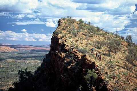14-Day Larapinta Trail Walking Tour From Alice Springs - Accommodation in Surfers Paradise 0