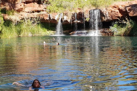 20 Day Darwin To Perth Adventure - Accommodation in Surfers Paradise 6