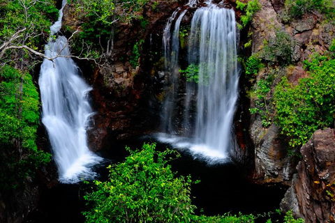 Litchfield Dreams 1 Day National Park Waterfall Swimming & Jumping Croc Cruise - Accommodation in Surfers Paradise 0