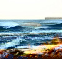 7-Day Byron Bay Evans Head and Moonee Beach Surf Safari from Brisbane Gold Coast or Byron Bay - Accommodation in Surfers Paradise