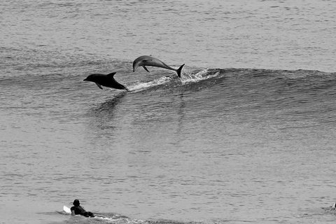 7-Day Byron Bay, Evans Head And Moonee Beach Surf Safari From Brisbane, Gold Coast Or Byron Bay - Accommodation in Surfers Paradise 6