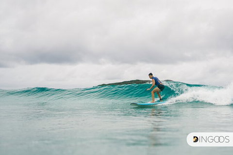 5-Day Byron Bay And Evans Head Surf Adventure From Brisbane, Gold Coast Or Byron Bay - Accommodation in Surfers Paradise 4