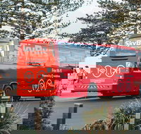 SkyBus Byron Bay Express - Accommodation in Surfers Paradise