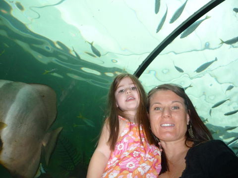 WILD LIFE Sydney Entrance Ticket - Accommodation in Surfers Paradise 4