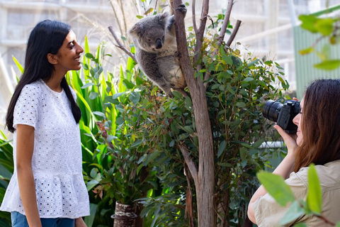 WILD LIFE Sydney Entrance Ticket - Accommodation in Surfers Paradise 22