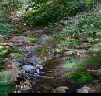 Cascades picnic area - Accommodation in Surfers Paradise