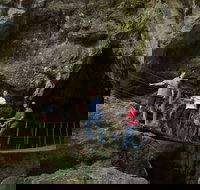 Dig the Tropic - Accommodation in Surfers Paradise