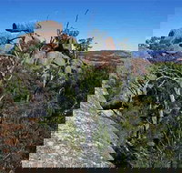 Evans Crown Nature Reserve - Accommodation in Surfers Paradise