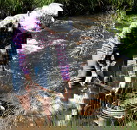 Fossicking - Accommodation in Surfers Paradise