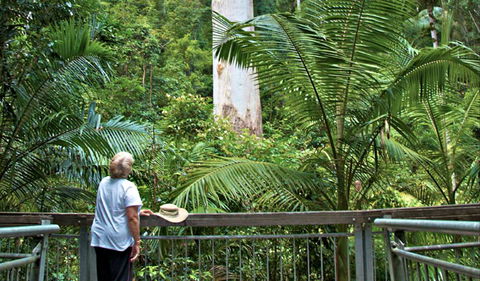 Grandis Picnic Area - Accommodation in Surfers Paradise 0