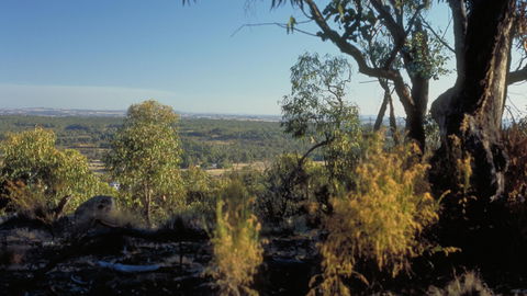 Heathcote-Graytown National Park - Accommodation in Surfers Paradise 0