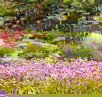 Jurassic Garden AR Experience - Accommodation in Surfers Paradise