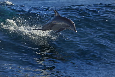 Kalbarri Town Centre - Accommodation in Surfers Paradise 1