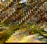 Mining Road Fire Trail Old Gibber Road Rire Trail - Accommodation in Surfers Paradise