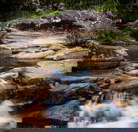 Mothar Mountain Rockpools - Accommodation in Surfers Paradise