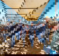 Roma - Accommodation in Surfers Paradise