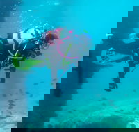 Shellharbour Scuba  and Photography Centre - Accommodation in Surfers Paradise