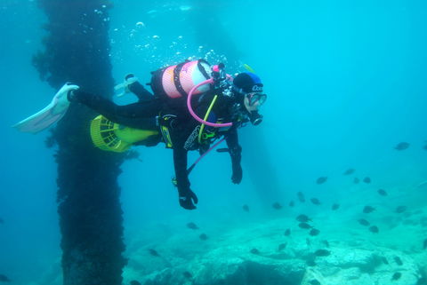 Shellharbour Scuba  And Photography Centre - Accommodation in Surfers Paradise 0