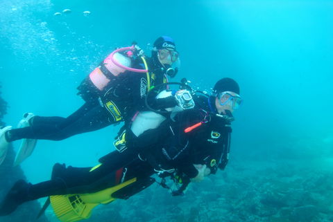 Shellharbour Scuba  And Photography Centre - Accommodation in Surfers Paradise 1