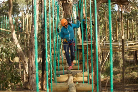 Trees Adventure Yeodene Park - Accommodation in Surfers Paradise 0