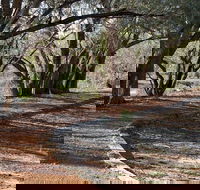 Warrego Floodplain walking track - Accommodation in Surfers Paradise