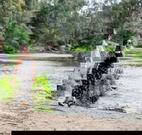 Warrandyte River Reserve - Accommodation in Surfers Paradise