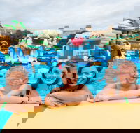 Waterworld Central - Mobile Inflatable Waterpark - Accommodation in Surfers Paradise