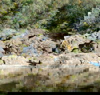Boonoo Boonoo National Park - Accommodation in Surfers Paradise