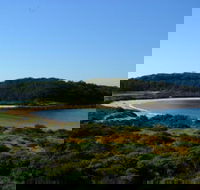 Broulee Island Nature Reserve Walk - Accommodation in Surfers Paradise