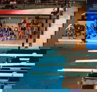 Dive Into History at Sydney Olympic Park Aquatic Centre - Accommodation in Surfers Paradise
