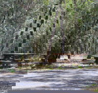 Goonoowigall State Conservation Area - Accommodation in Surfers Paradise