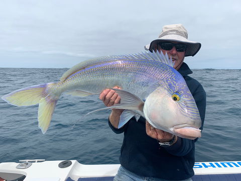 GT Fishing Charters - Accommodation in Surfers Paradise 1