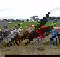 High Country Trail Rides - Accommodation in Surfers Paradise