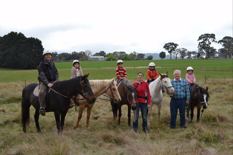 High Country Trail Rides - Accommodation in Surfers Paradise 0