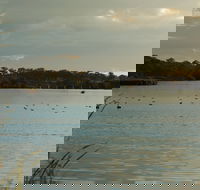 Lake Inverell Reserve - Accommodation in Surfers Paradise