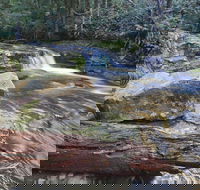 Liffey Falls Reserve - Accommodation in Surfers Paradise