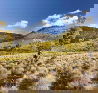 Little Mountain Walking Track - Accommodation in Surfers Paradise