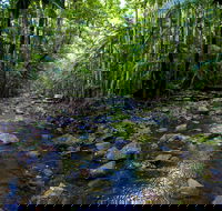 Nambucca Valley - Accommodation in Surfers Paradise