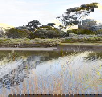 Onkaparinga River Recreation Park - Accommodation in Surfers Paradise