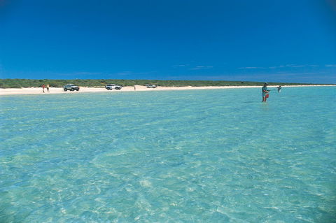 Shark Bay World Heritage Drive - Accommodation in Surfers Paradise 1