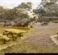 Thredbo River picnic area - Accommodation in Surfers Paradise