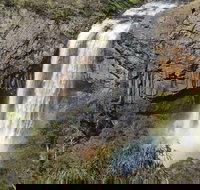 Waterfall Way Scenic Drive - Accommodation in Surfers Paradise