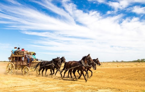 7 Day Outback Giants - Accommodation in Surfers Paradise 0