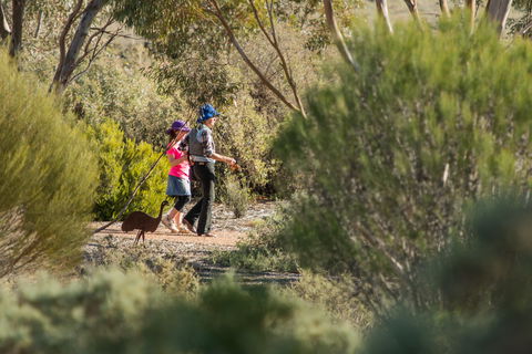 Australian Arid Lands Botanic Garden - Accommodation in Surfers Paradise 0