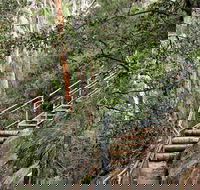Caleys Lookout Track - Accommodation in Surfers Paradise