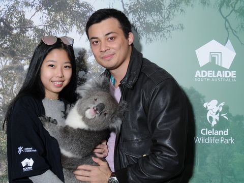 Cleland Wildlife Park - Koala Hold - Accommodation in Surfers Paradise 0