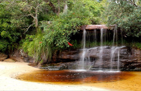 Collins Flat Beach - Accommodation in Surfers Paradise 0