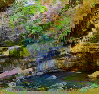 Glimpse of the Outback 5 Day Tour - Roma and Surrounds - Accommodation in Surfers Paradise